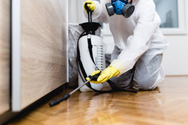 Best Rat Extermination Near Me  in Aquebogue, NY