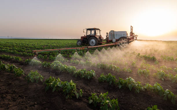 Best Pest Control for Homes  in Aquebogue, NY