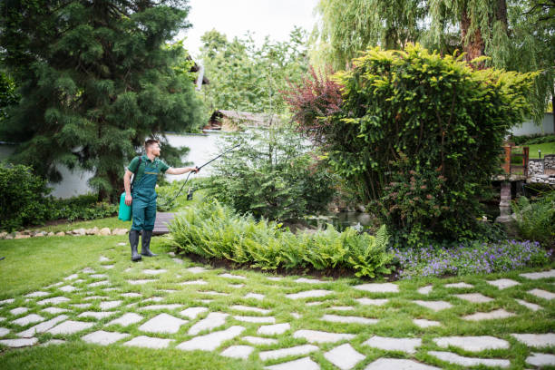 Best Local Pest Control Services  in Aquebogue, NY