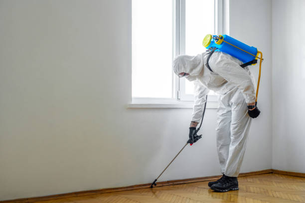 Best Rat Extermination Near Me  in Aquebogue, NY