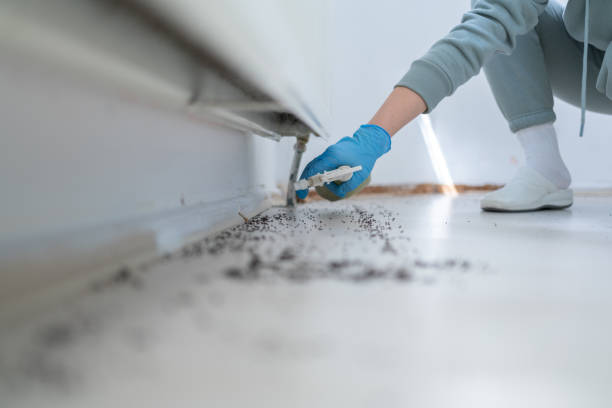 Best Wildlife Control Services  in Aquebogue, NY