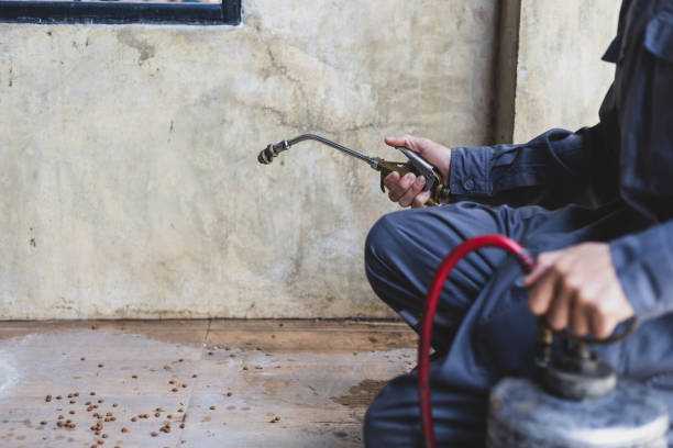 Best Pest Prevention Services  in Aquebogue, NY
